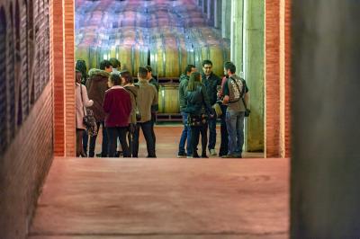 Visita a Bodegas Malón de Echaide y cata de 5 vinos